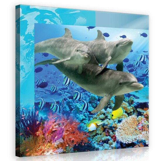 Dolphin Canvas Schilderij PP20405O2