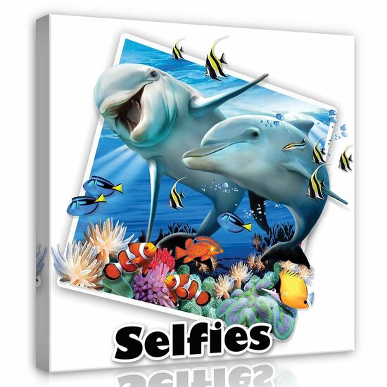 Dolphins- Selfies Canvas Schilderij PP12820O2