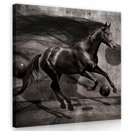 Black Horse Canvas Schilderij PP20303O2
