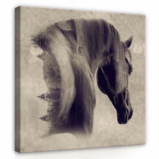 Horse Canvas Schilderij PP13604O2