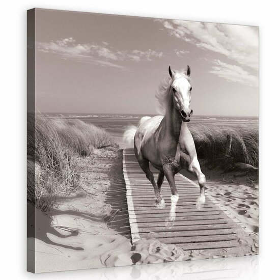 Horse Galloping on the Beach Canvas Schilderij PP10229O2