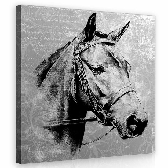 Vintage horse Canvas Schilderij PP10146O2