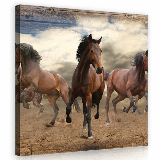 Galloping Horses on Wooden Planks Canvas Schilderij PP10083O2