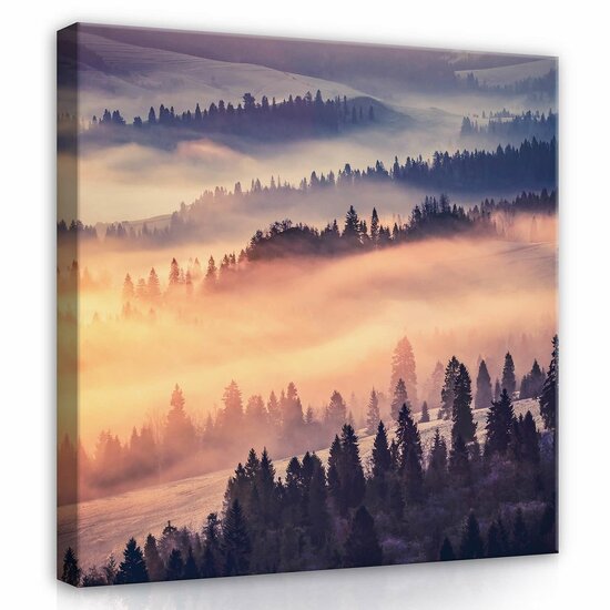 Forest in the fog Canvas Schilderij PP13572O2