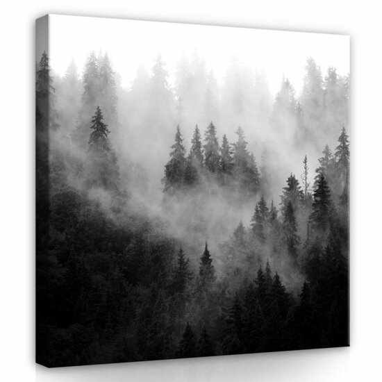 Forest in the fog Canvas Schilderij PP13564O2