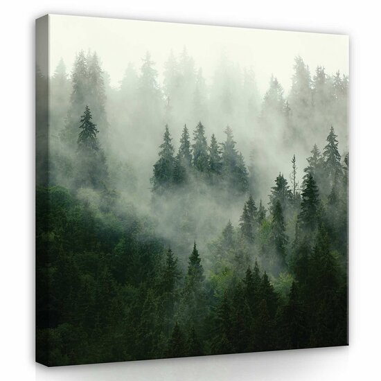Forest in the fog Canvas Schilderij PP13026O2