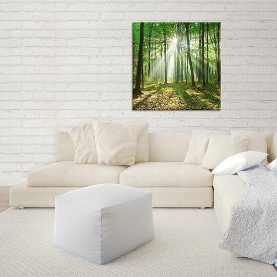 Forest in Daylight Canvas Schilderij PP10329O2