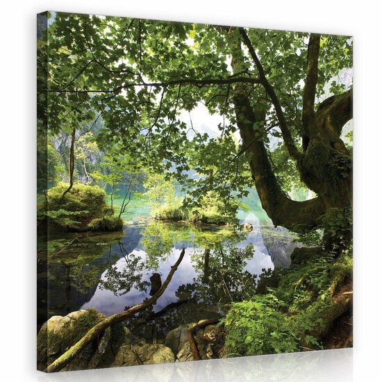 Forest Canvas Schilderij PP10222O2