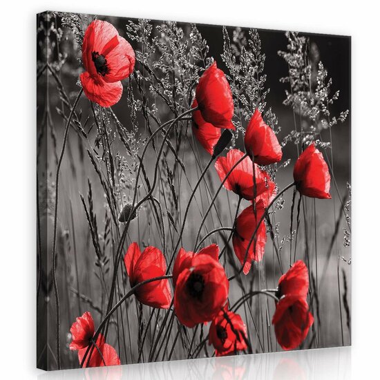 Poppies Canvas Schilderij PP11763O2