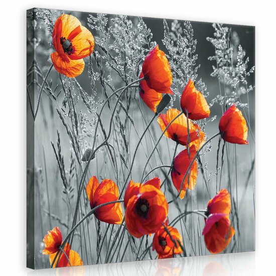 Poppies Canvas Schilderij PP11746O2