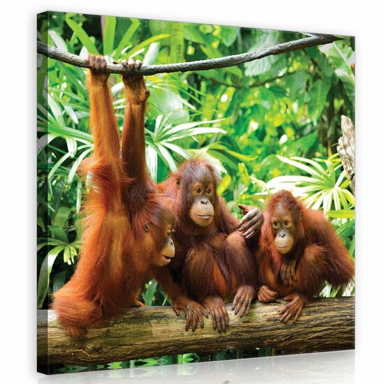 Orangutans in the Jungle Canvas Schilderij PP10230O2