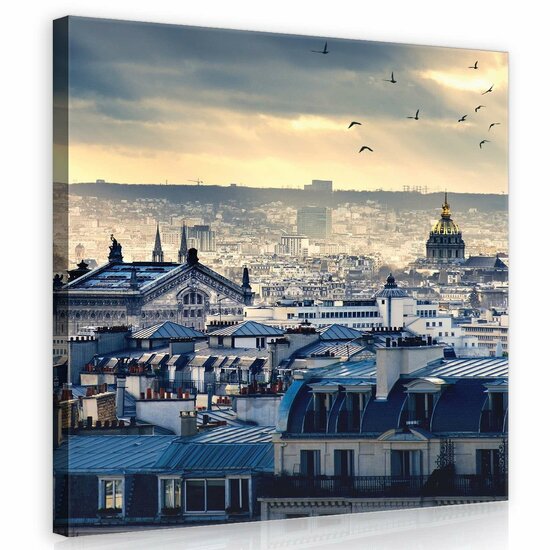Paris from a bird&#039;s eye view Canvas Schilderij PP11853O2