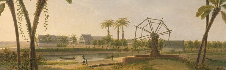 Rijksmuseum Canvas Gezicht op de Koffieplantage Suriname Willem De Klerk RMC29
