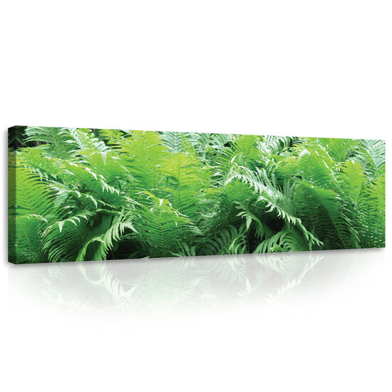 Green Ferns Canvas Schilderij PP10111O3