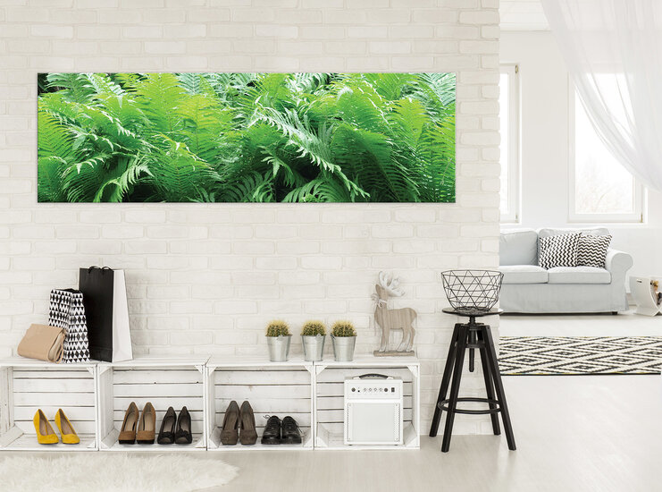 Green Ferns Canvas Schilderij PP10111O3