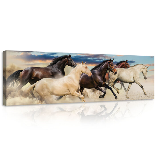 Galloping Mustangs Canvas Schilderij PP20305O3