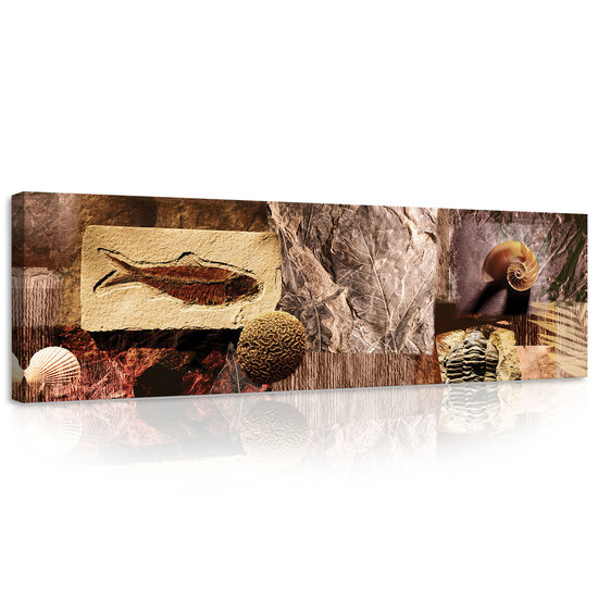 Fossils Canvas Schilderij PP20395O3