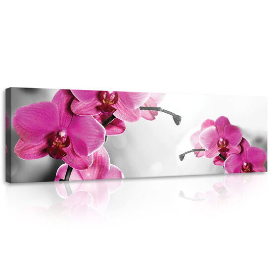 Pink Orchid Canvas Schilderij PP10155O3