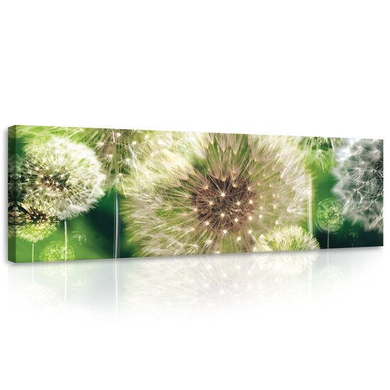 Dandelions on the Green Background Canvas Schilderij PP10221O3