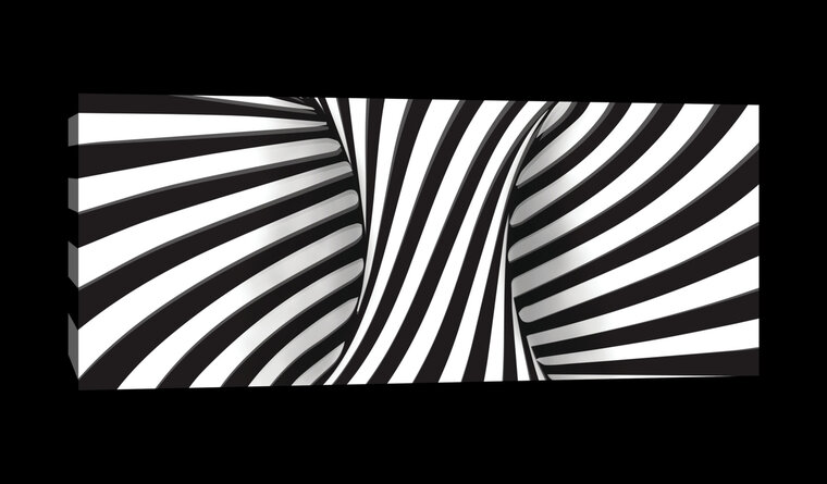 White and Black 3D Swirl Canvas Schilderij PP20191O3