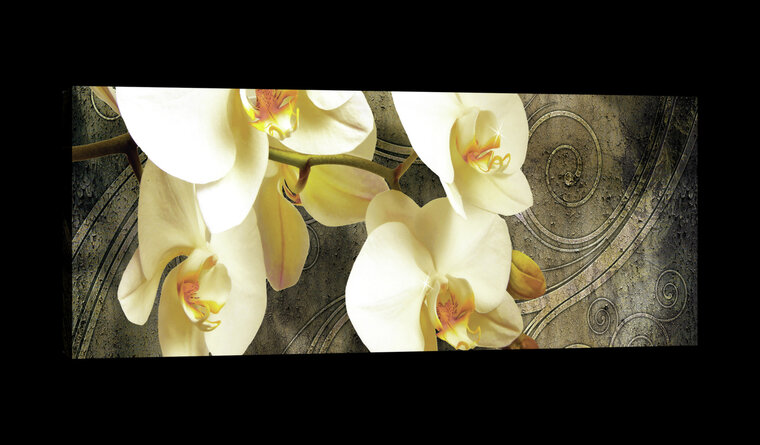 Orchids on Tree Bark Canvas Schilderij PP20032O3