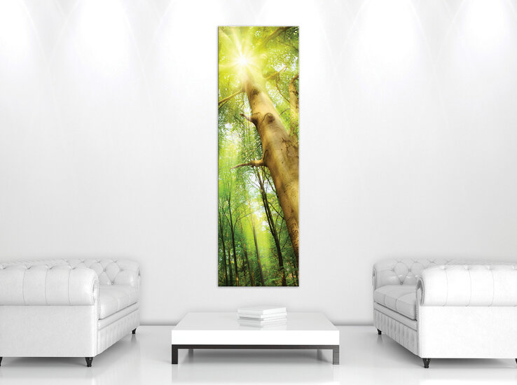 Forest in the Daylight Canvas Schilderij PP10112O3