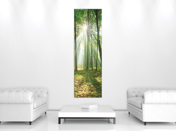 Forest in Daylight Canvas Schilderij PP10329O3