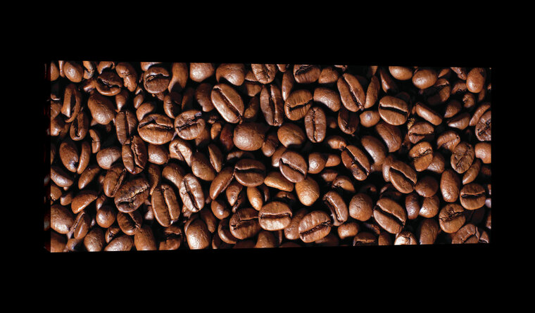 Coffee Beans Canvas Schilderij PP20233O3