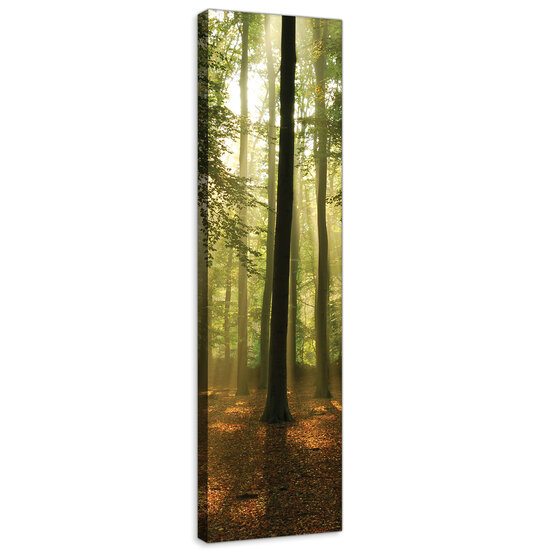 Forest in the Daylight Canvas Schilderij PP10331O3