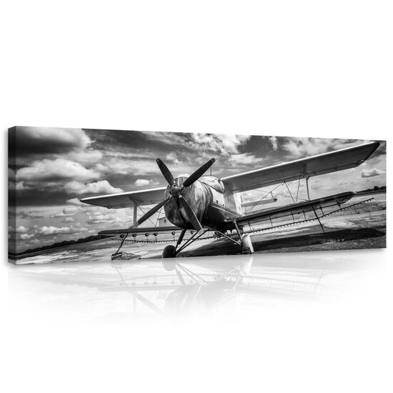 Plane Canvas Schilderij PP11384O3