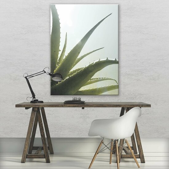 Cactus Canvas Schilderij PP11972O1