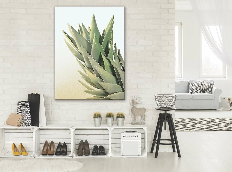 Cactus Canvas Schilderij PP11971O1