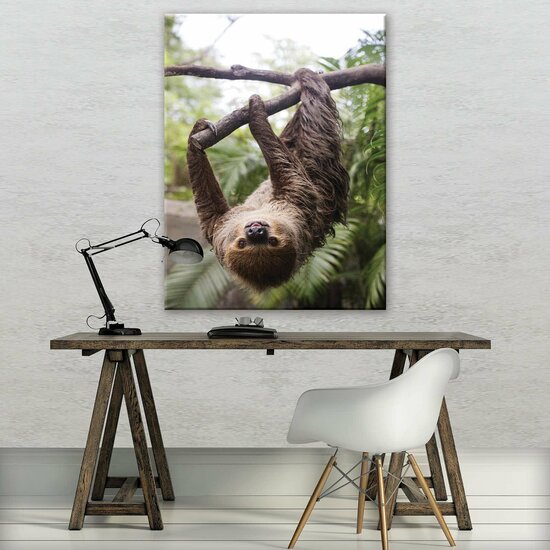 Sloth Canvas Schilderij PP11858O1