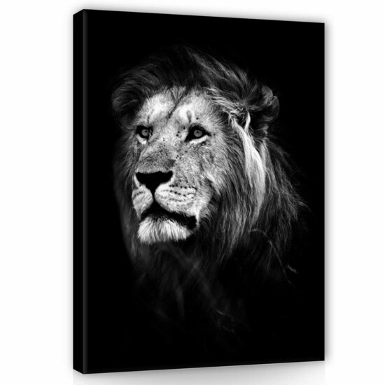 Lion Canvas Schilderij PP11768O1