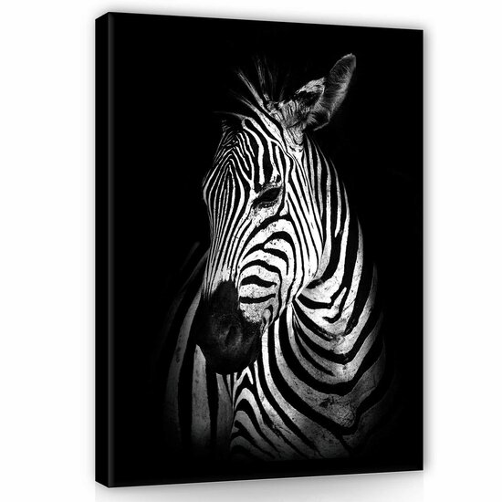 Zebra Canvas Schilderij PP11767O1