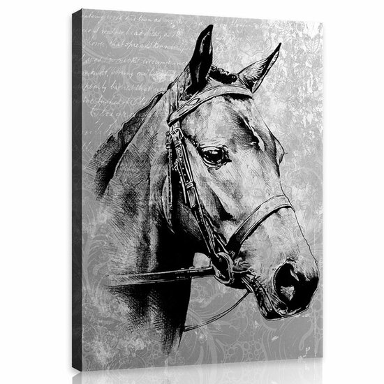Vintage horse Canvas Schilderij PP10146O1