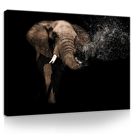 Elephant Canvas Schilderij PP11762O1
