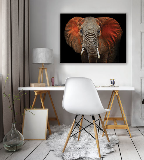 Elephant with red ears Canvas Schilderij PP11752O1