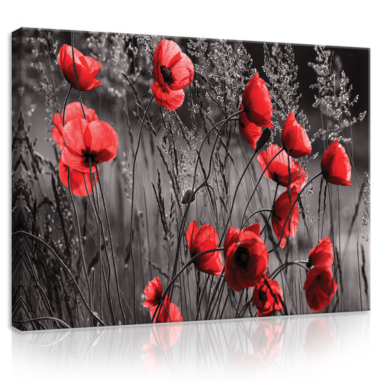 Poppies Canvas Schilderij PP11763O1