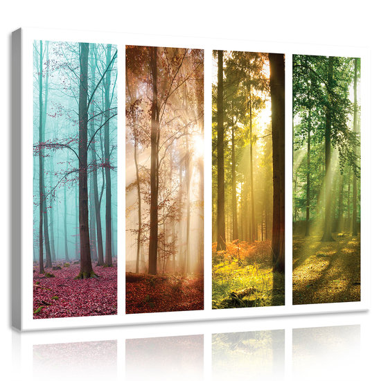 Forests Canvas Schilderij PP11684O1