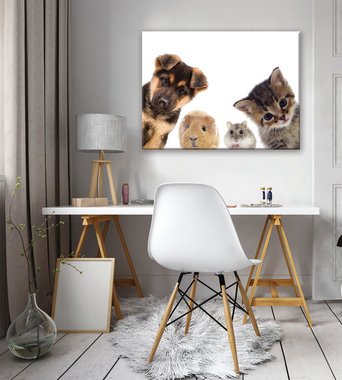 Animals Canvas Schilderij PP11785O1