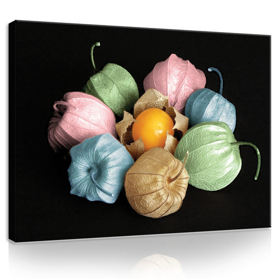 Physalis Canvas Schilderij PP11781O1