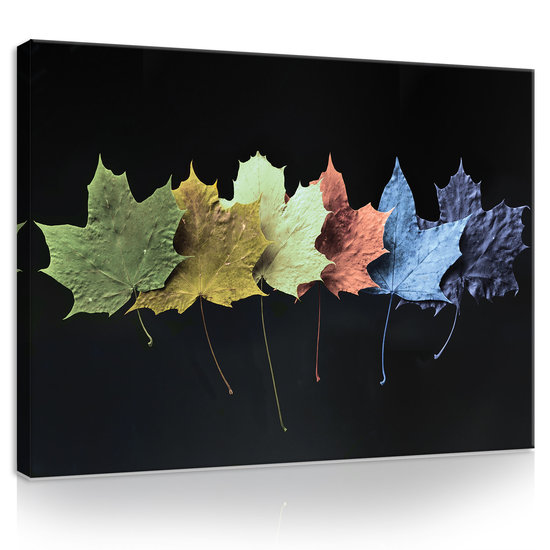 Leaves Canvas Schilderij PP11772O1