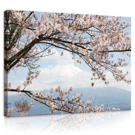 Cherry blossoms Canvas Schilderij PP11800O1
