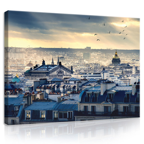 Paris from a bird&#039;s eye view Canvas Schilderij PP11853O1