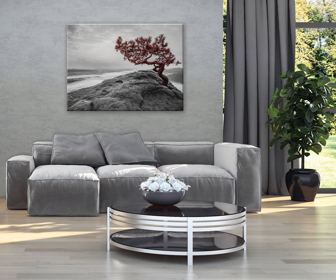 The tree on the rock Canvas Schilderij PP11771O1