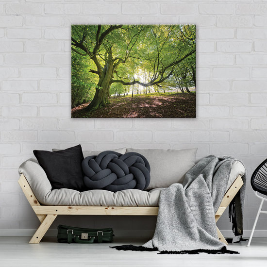 Tree Canvas Schilderij PP11799O1