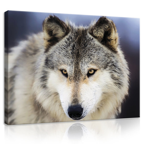 Snow Wolf Canvas Schilderij PP20308O1