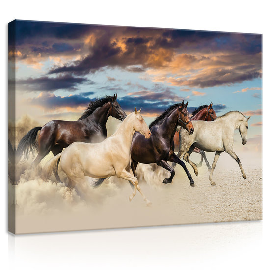 Galloping Mustangs Canvas Schilderij PP20305O1