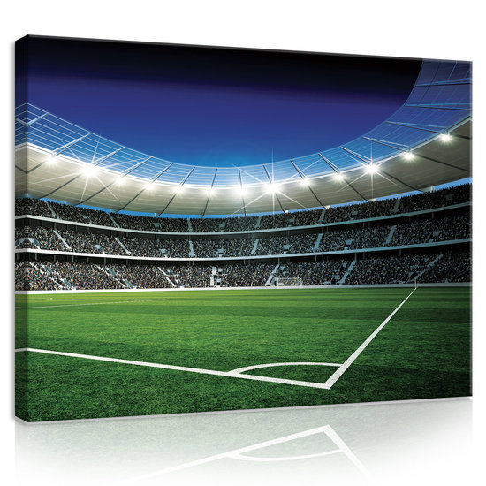 Football Pitch Canvas Schilderij PP20105O1